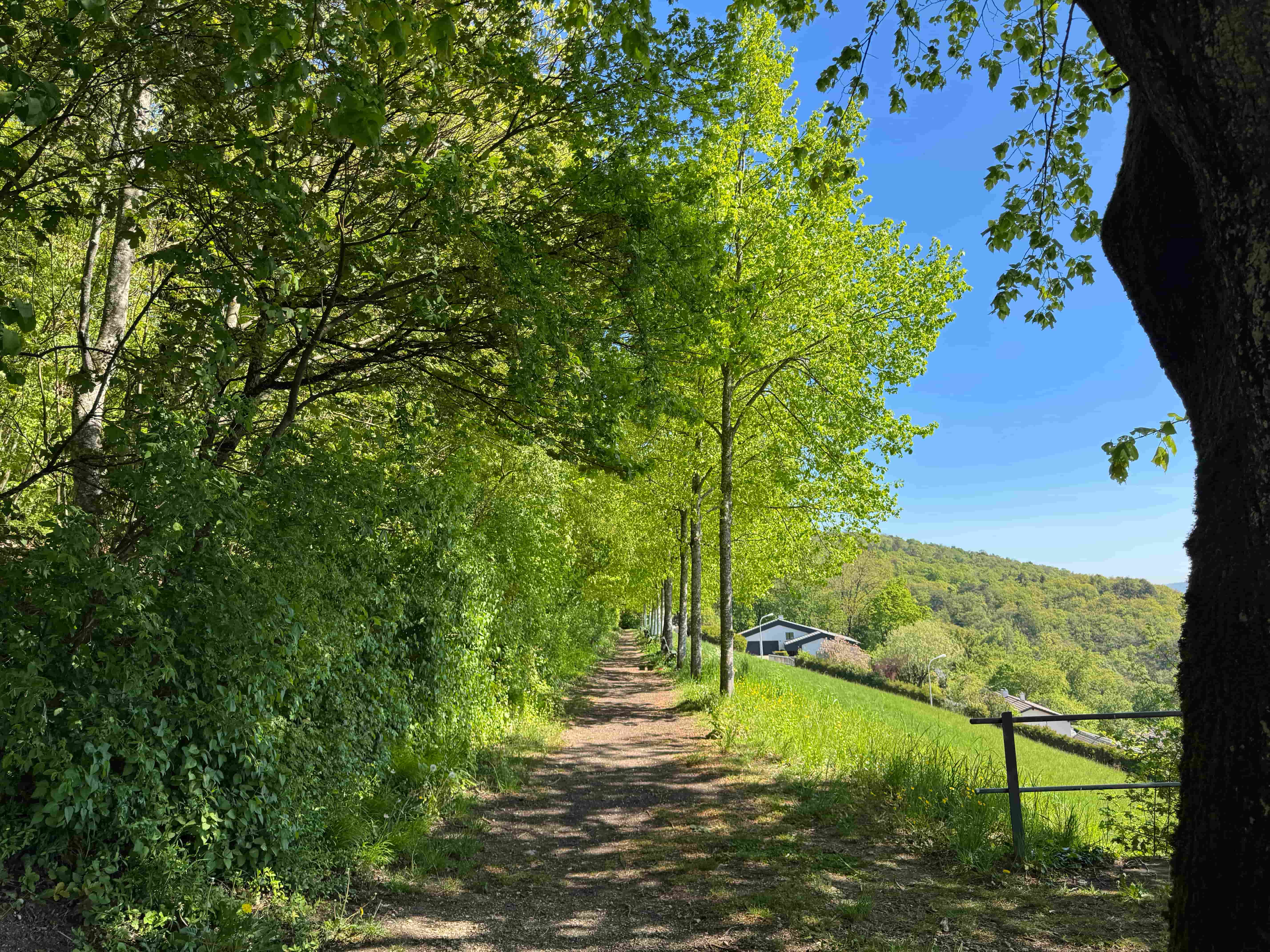 Vue aerienne des montagnes