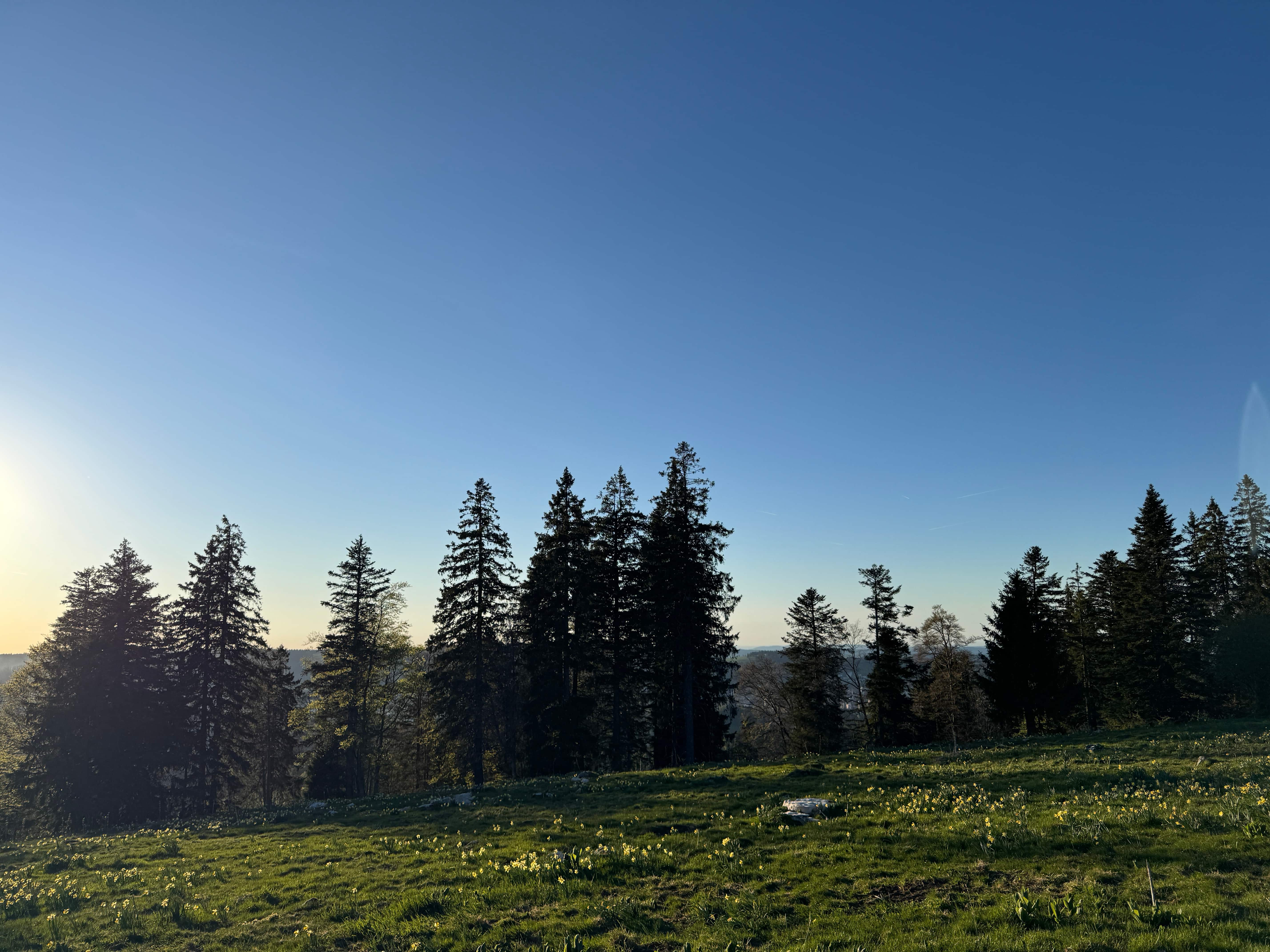 Vue aerienne des montagnes