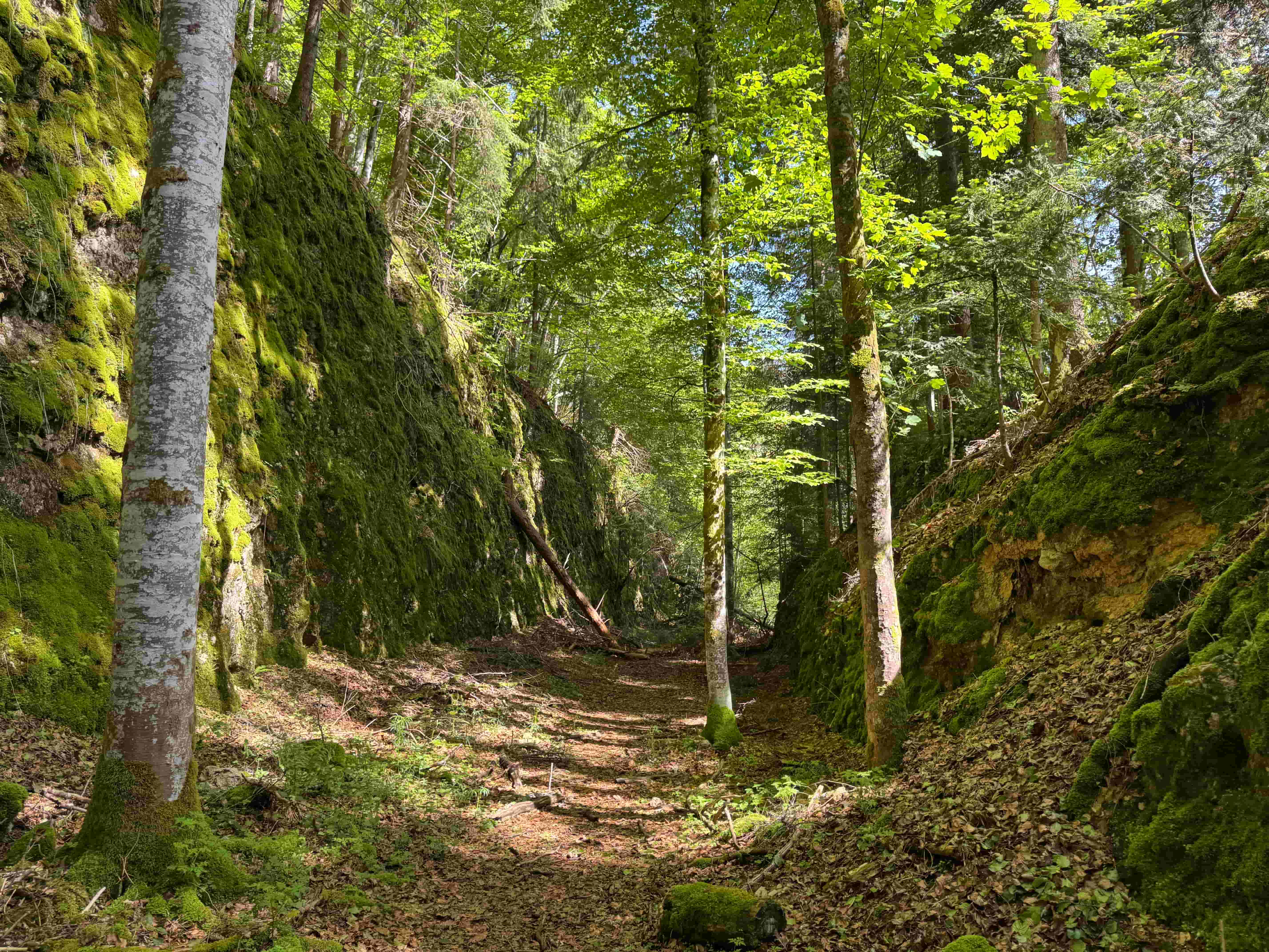 Vue aerienne des montagnes