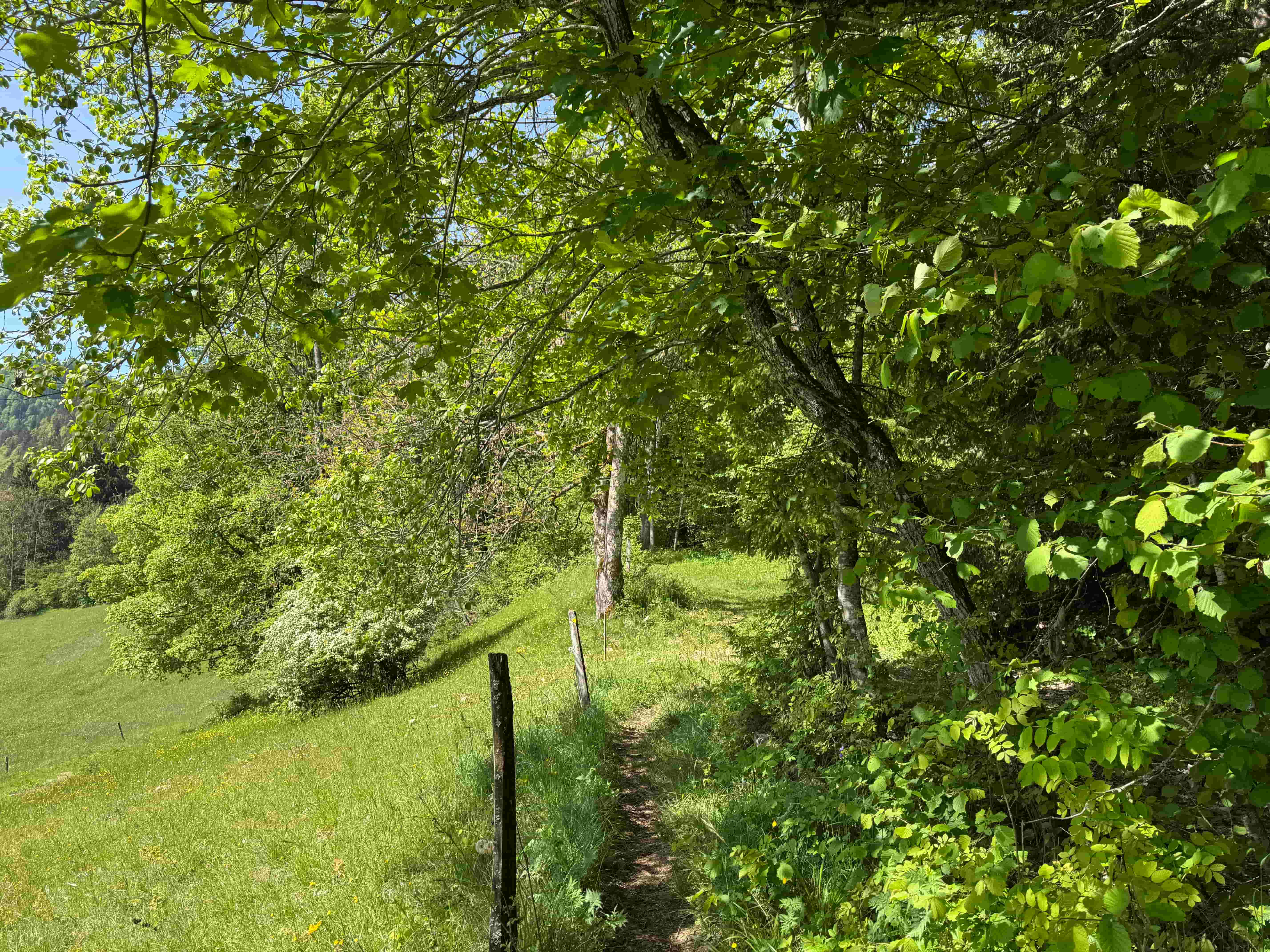 Vue aerienne des montagnes