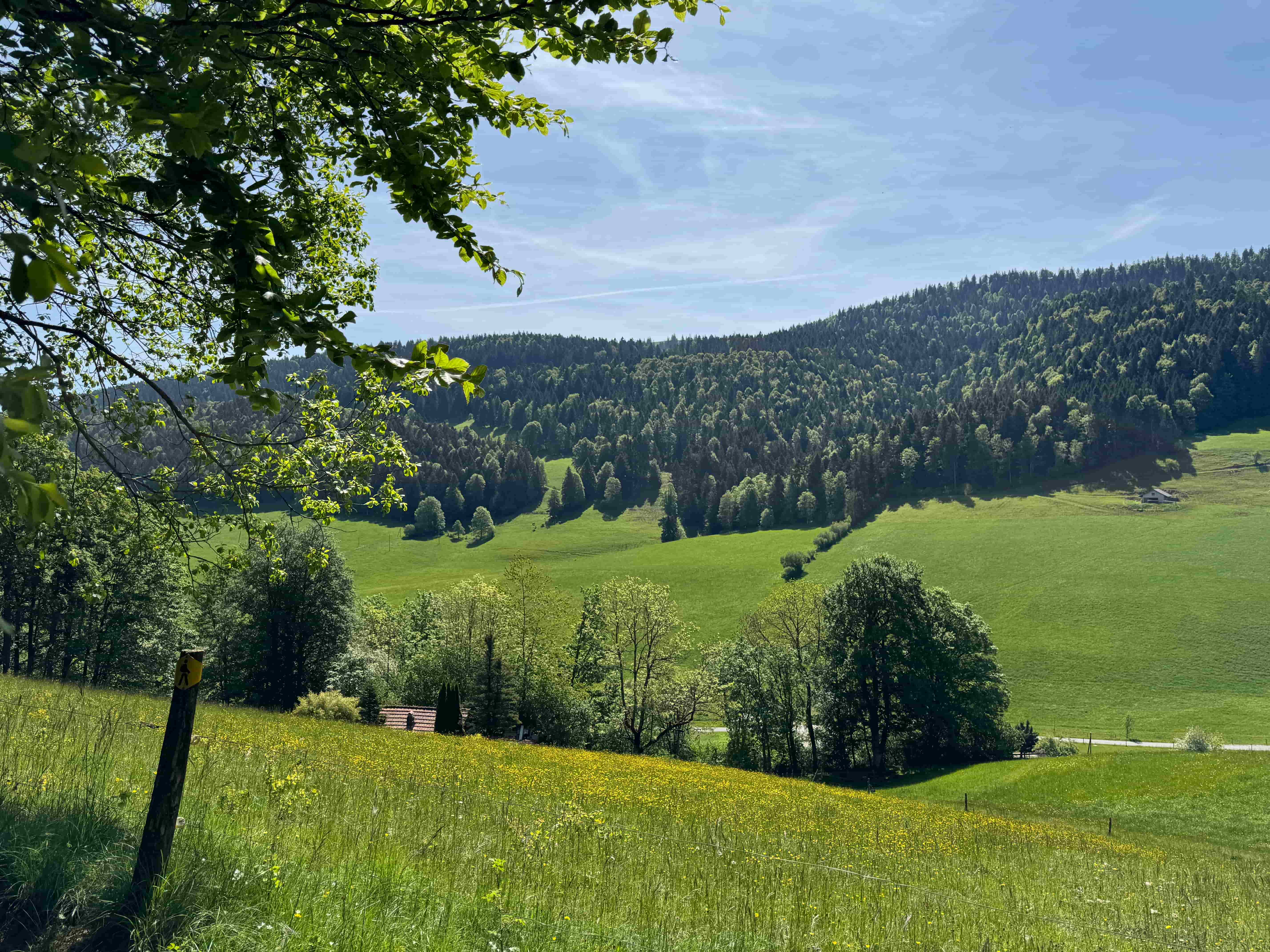Vue aerienne des montagnes