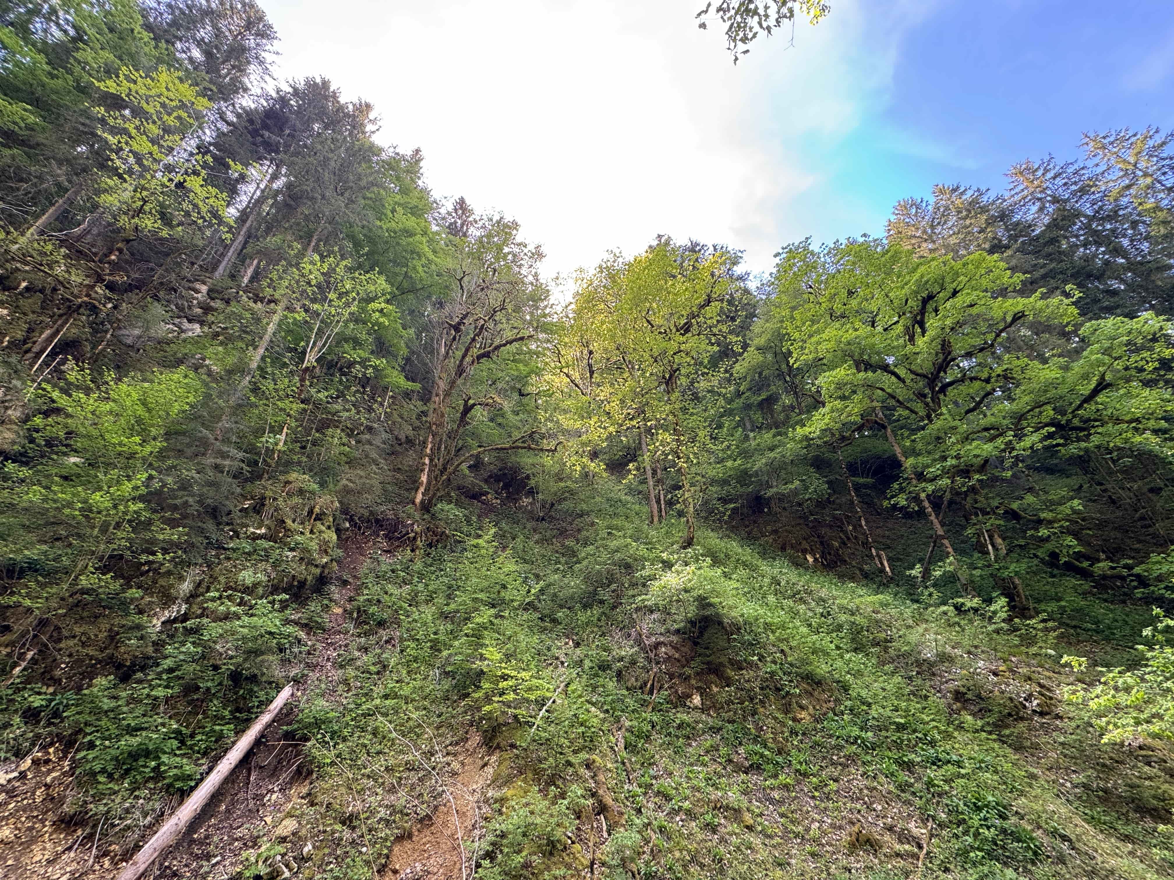 Vue aerienne des montagnes
