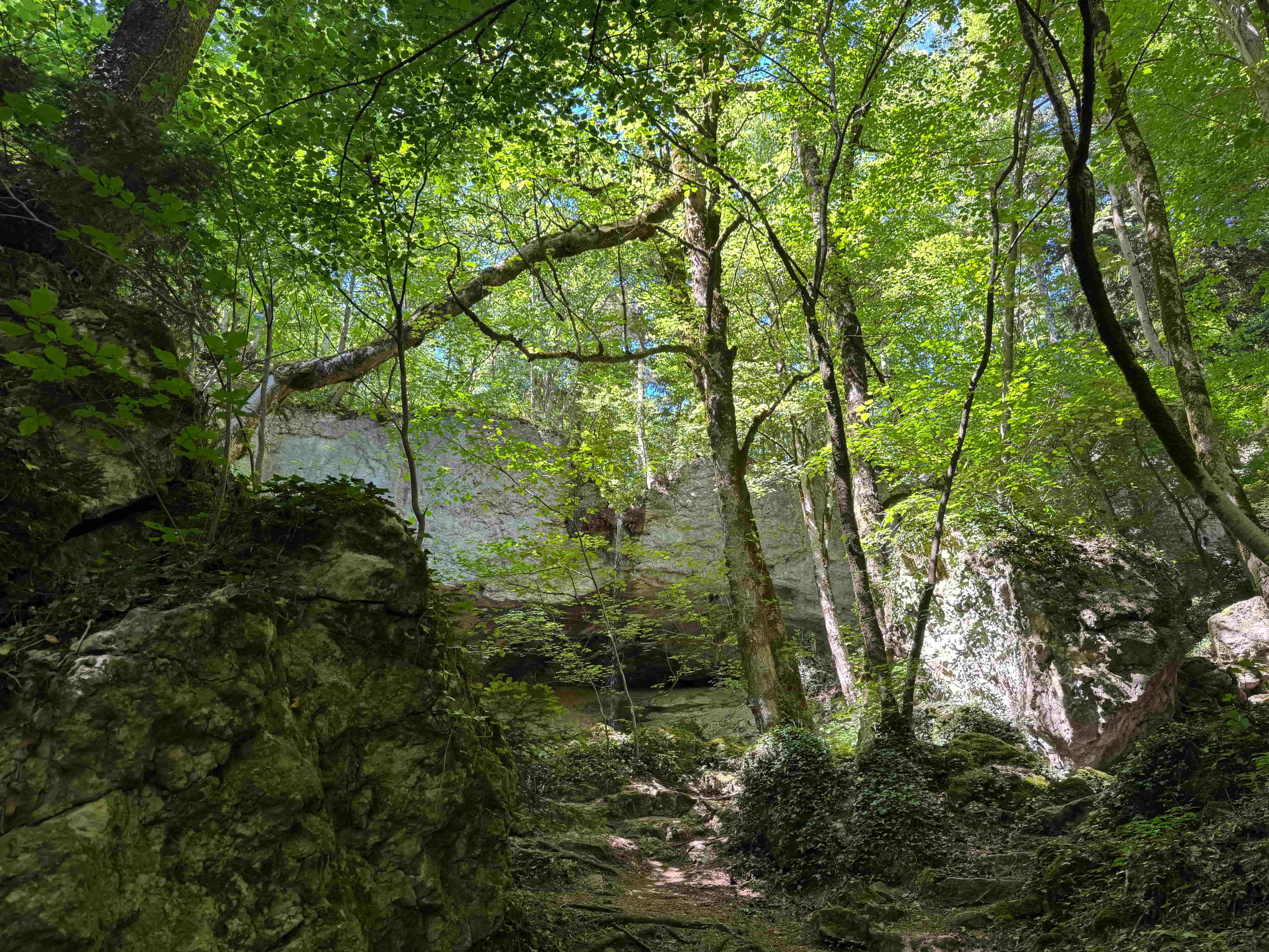 Vue aerienne des montagnes
