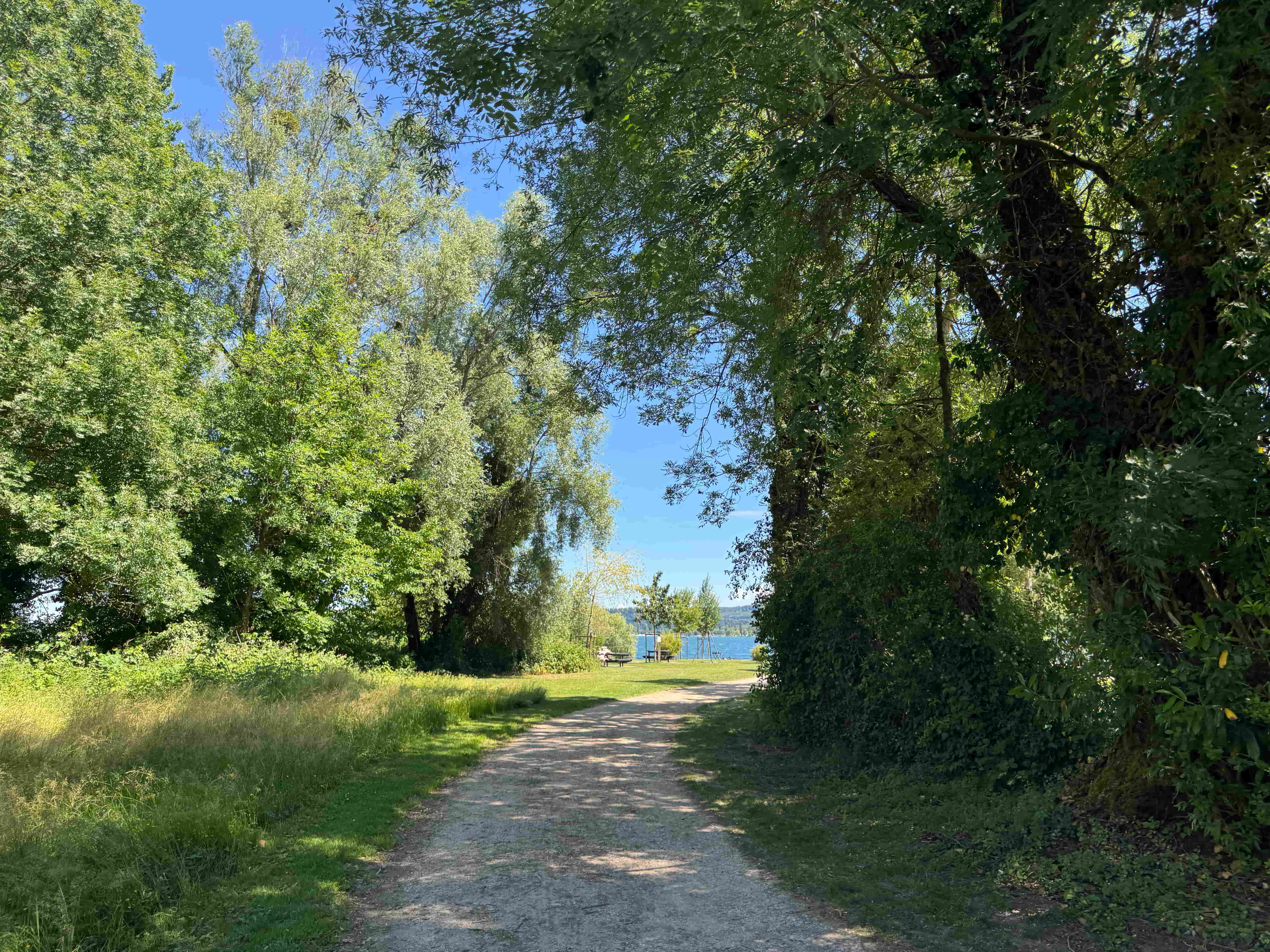 Vue aerienne des montagnes