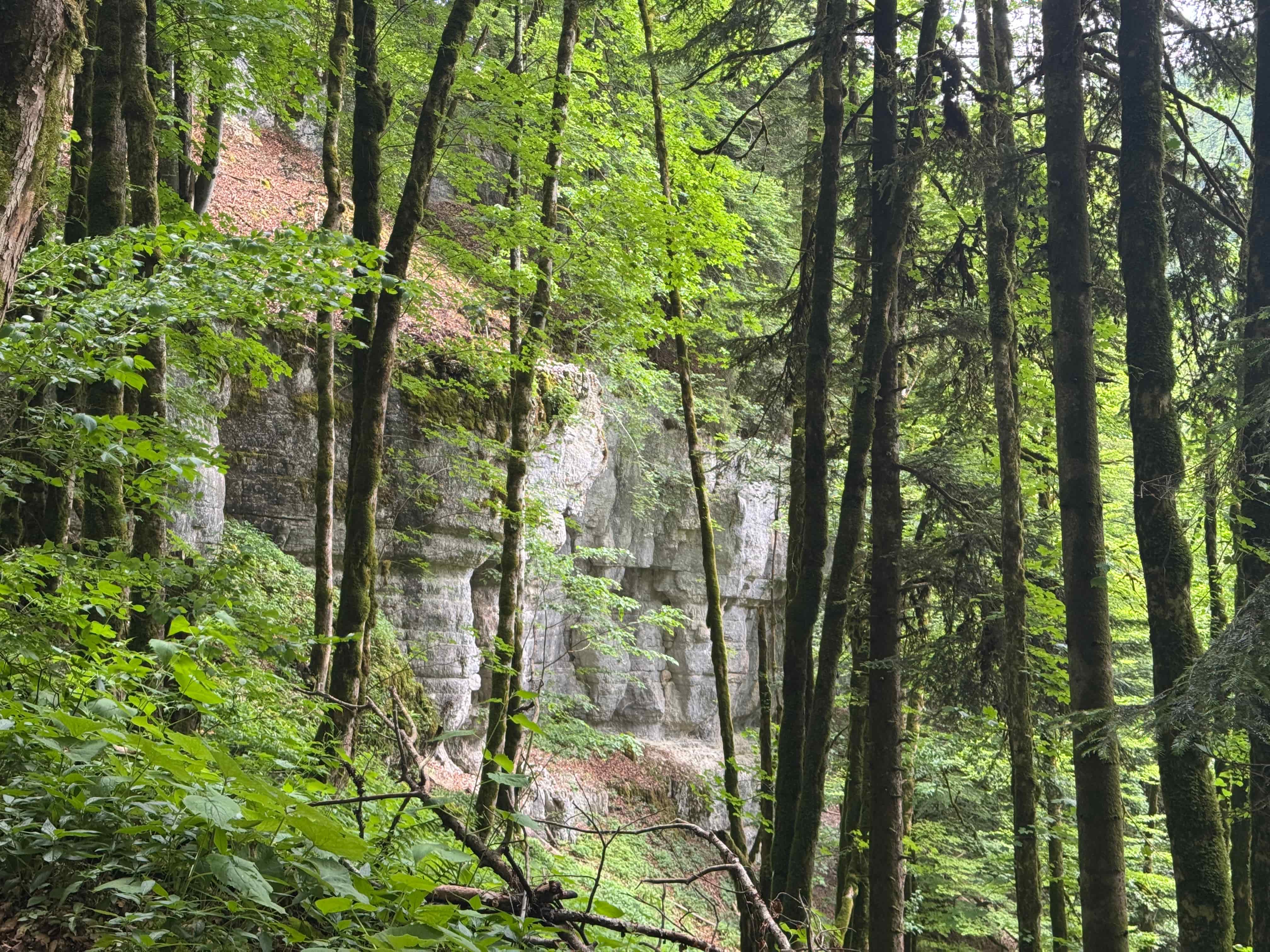Vue aerienne des montagnes