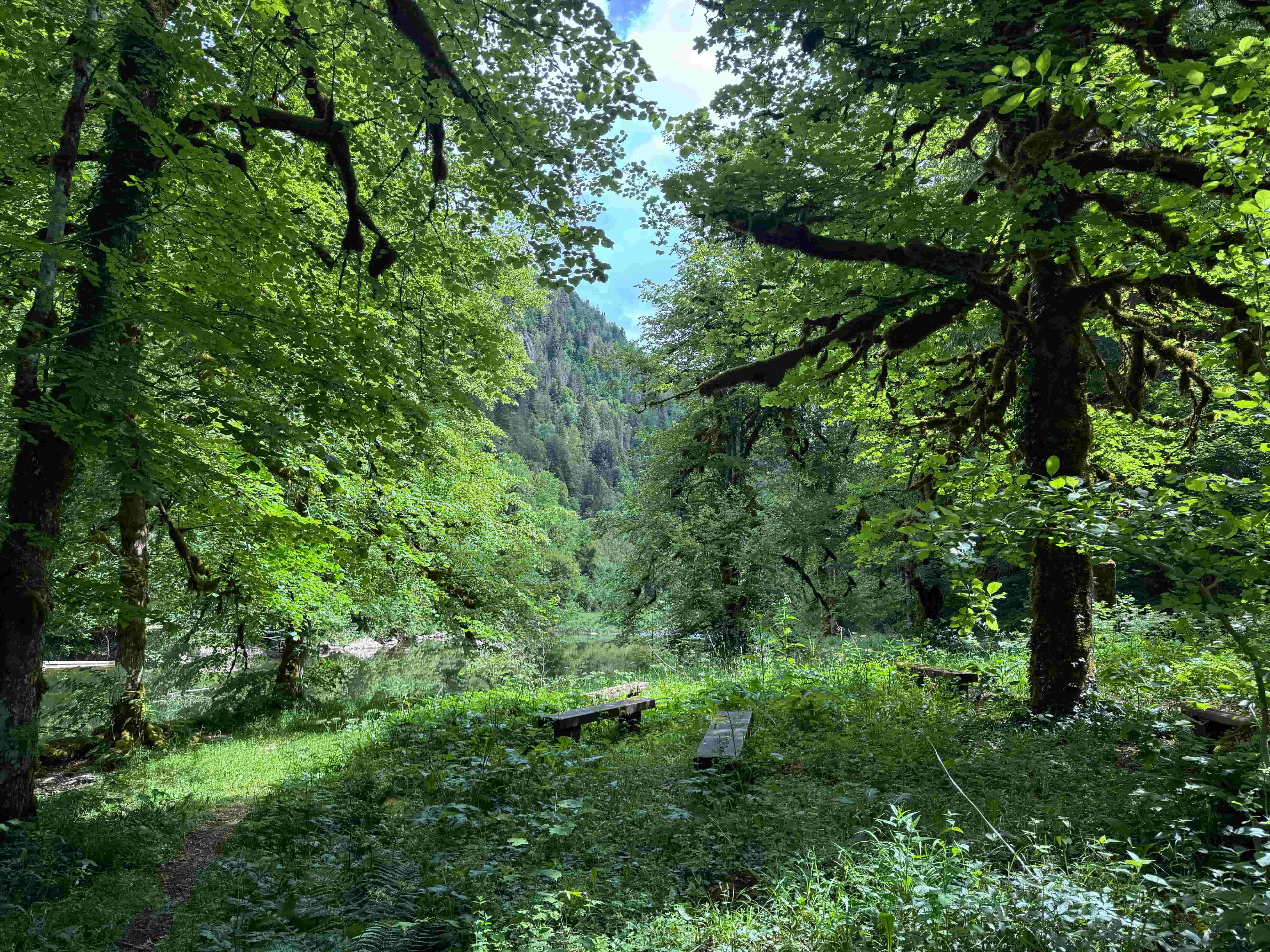 Vue aerienne des montagnes