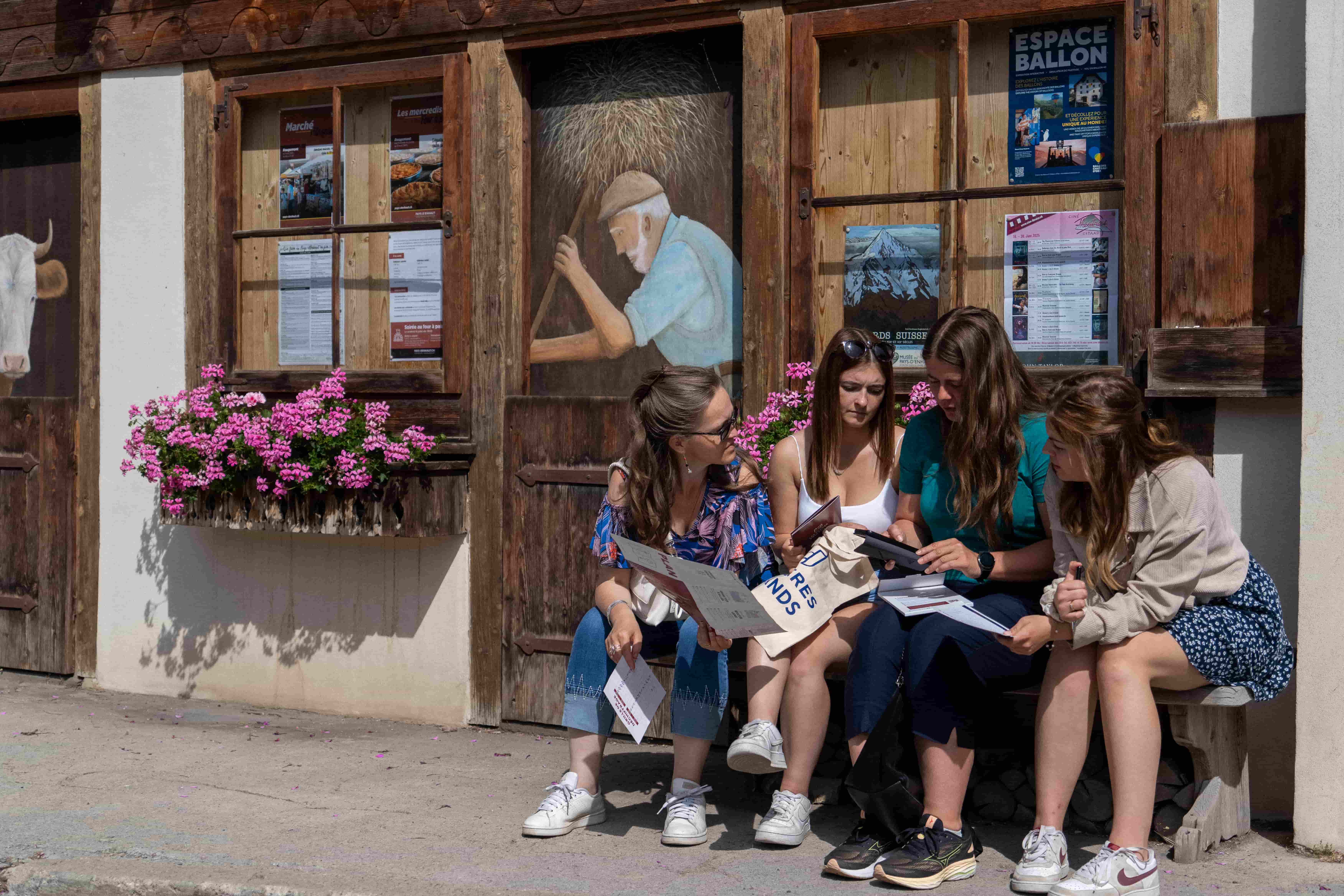 Vue aerienne des montagnes