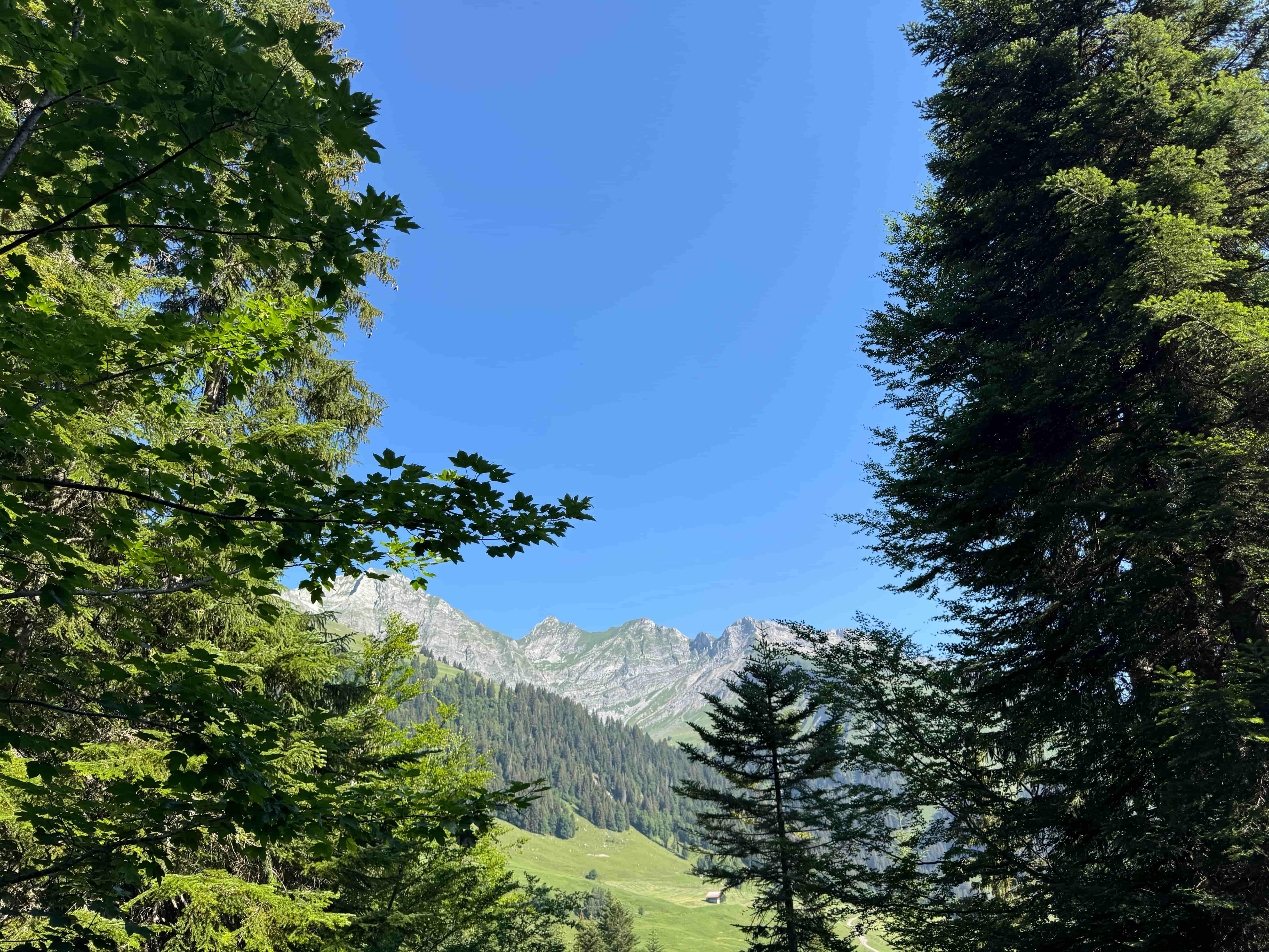 Vue aerienne des montagnes