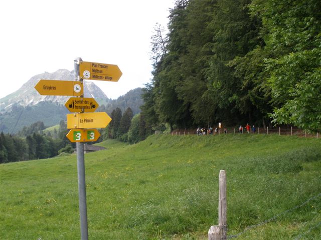 Vue aerienne des montagnes