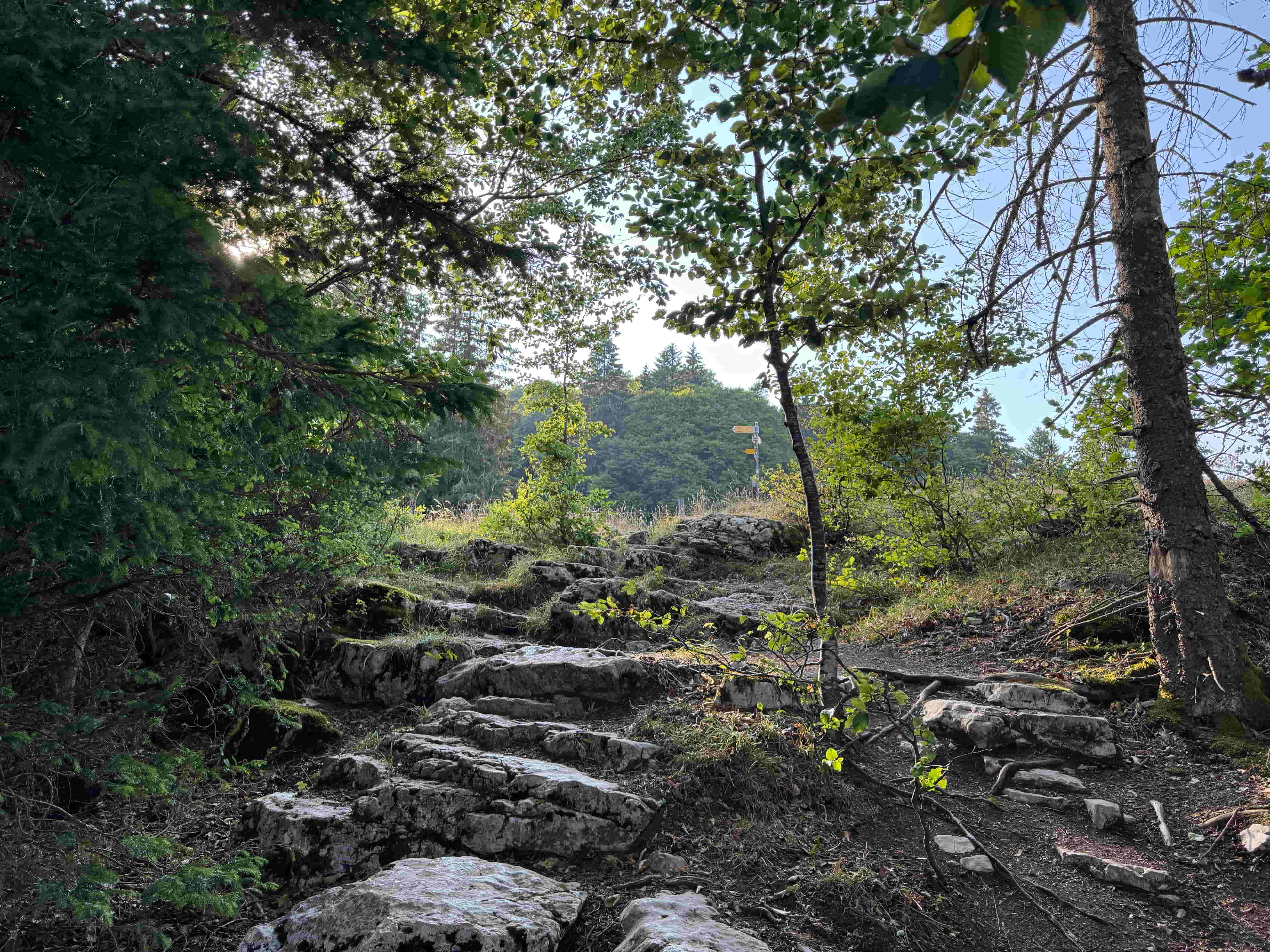 Vue aerienne des montagnes