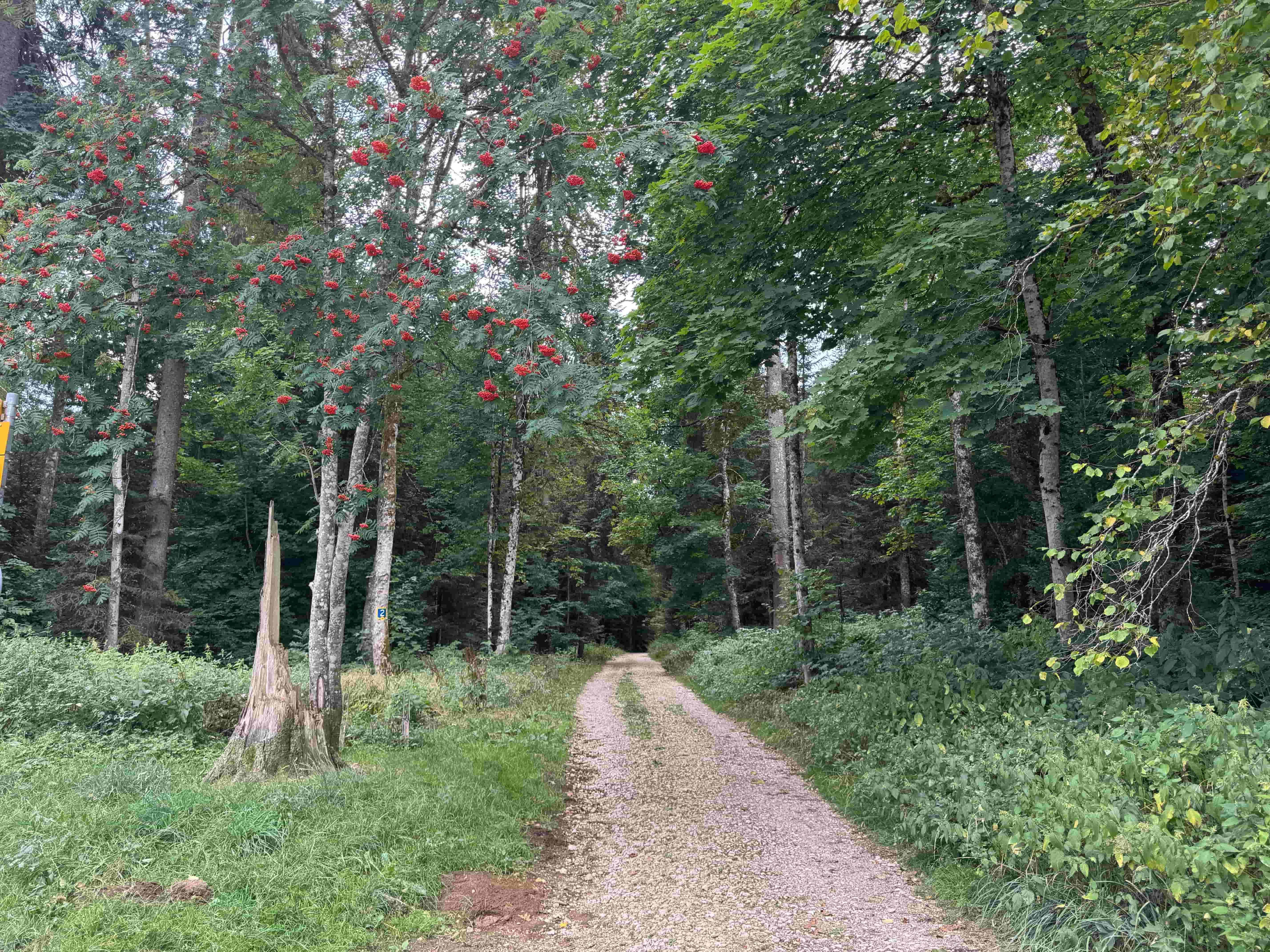 Vue aerienne des montagnes