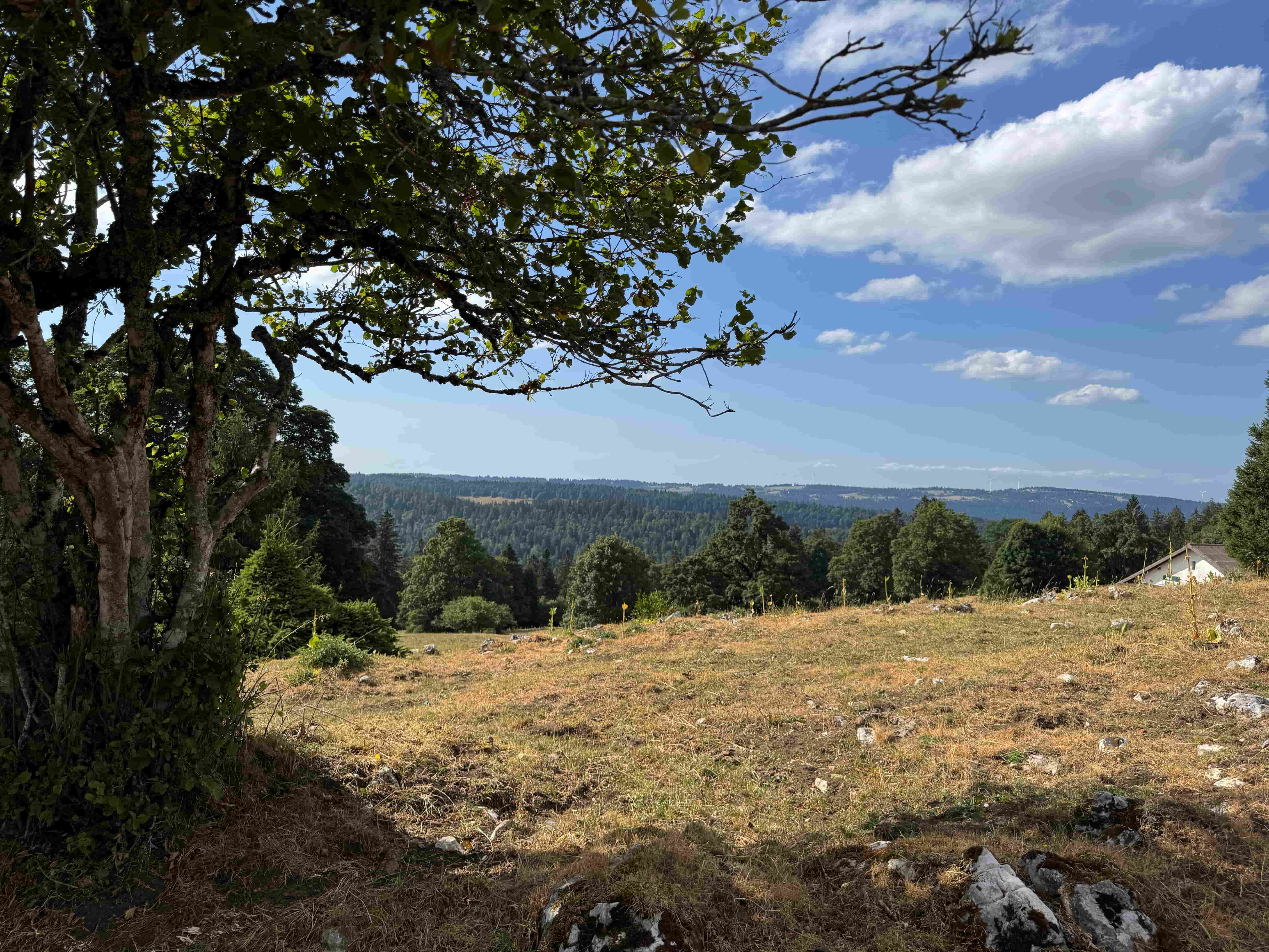 Vue aerienne des montagnes