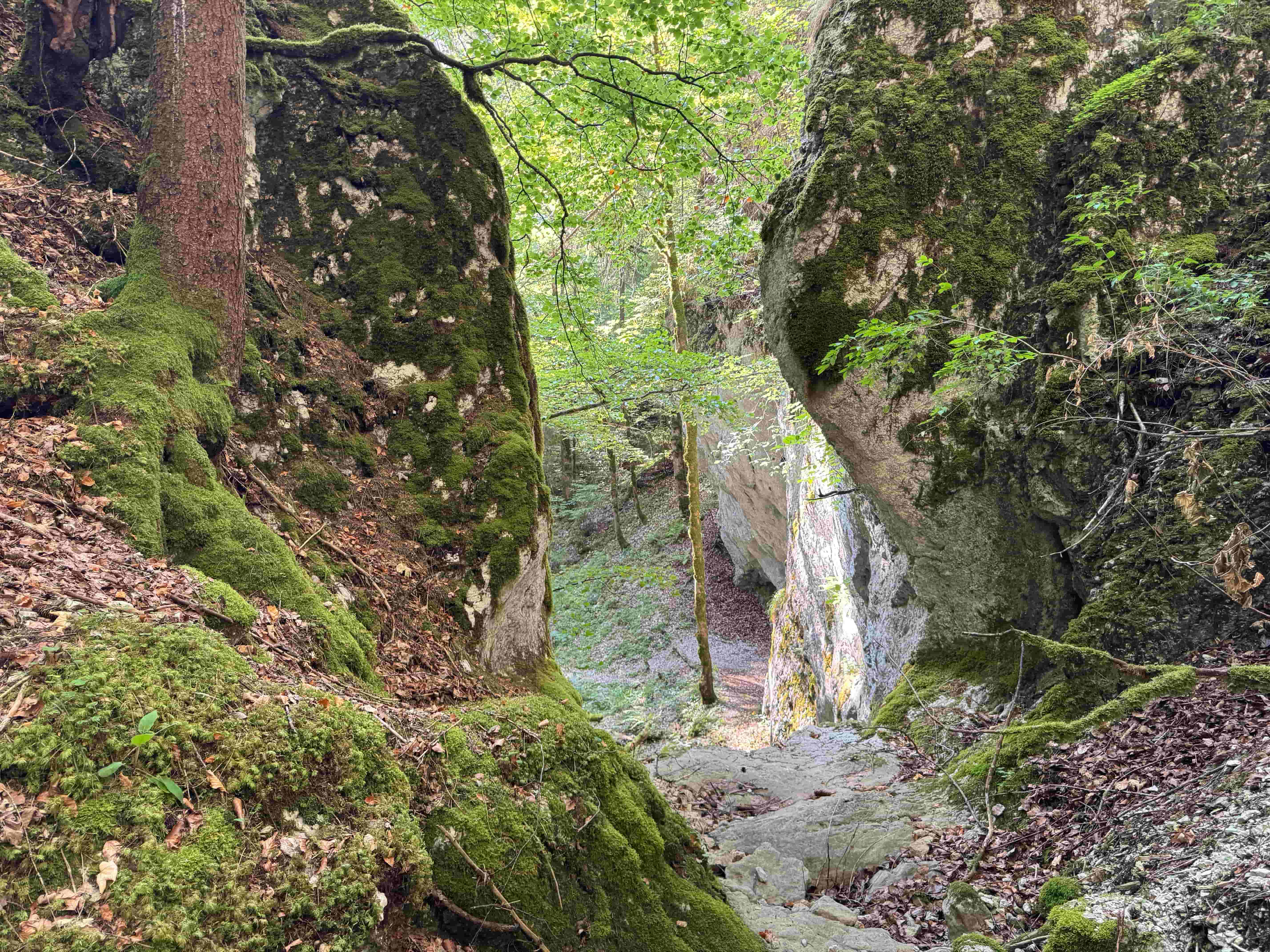 Vue aerienne des montagnes