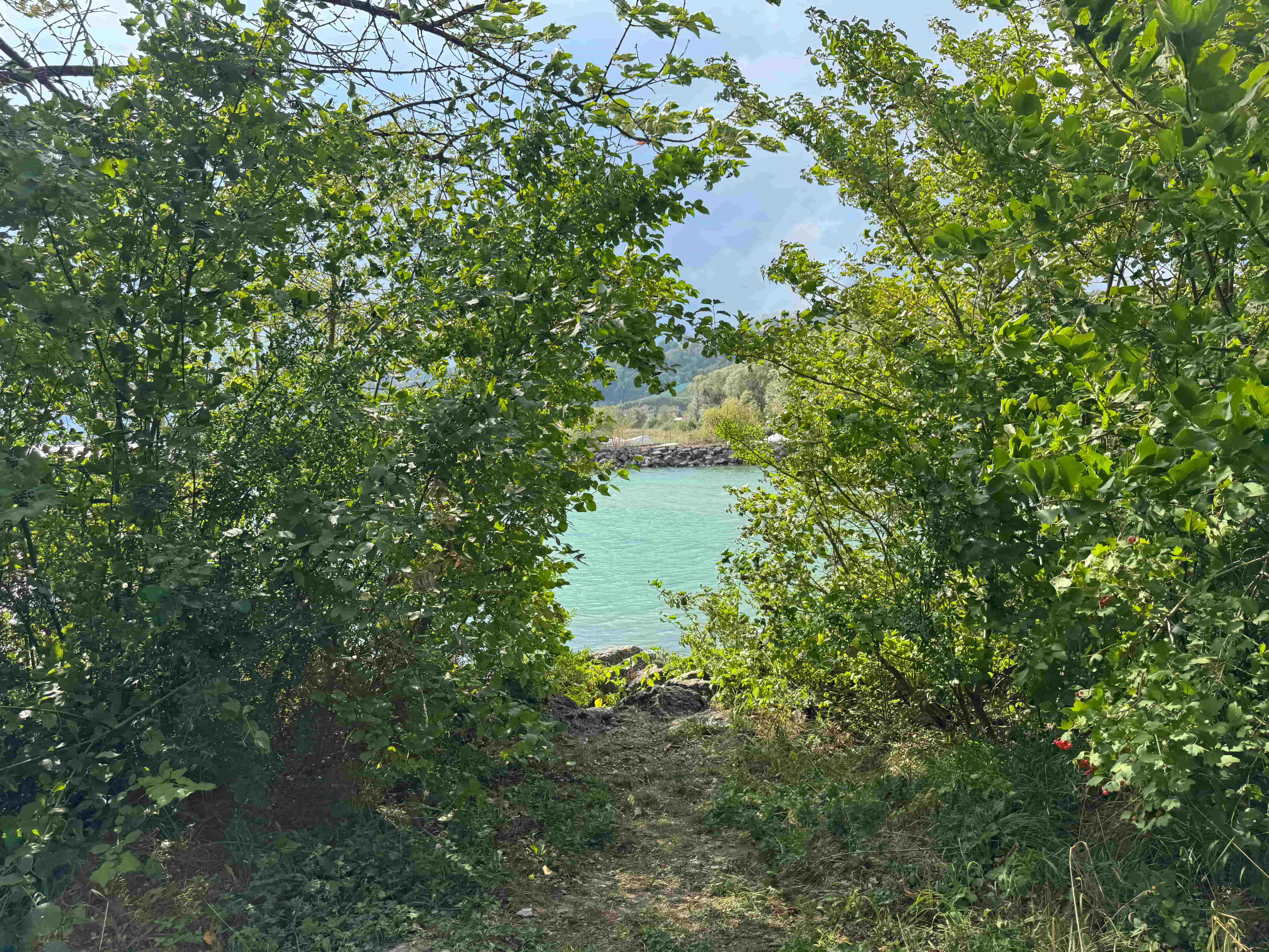 Vue aerienne des montagnes