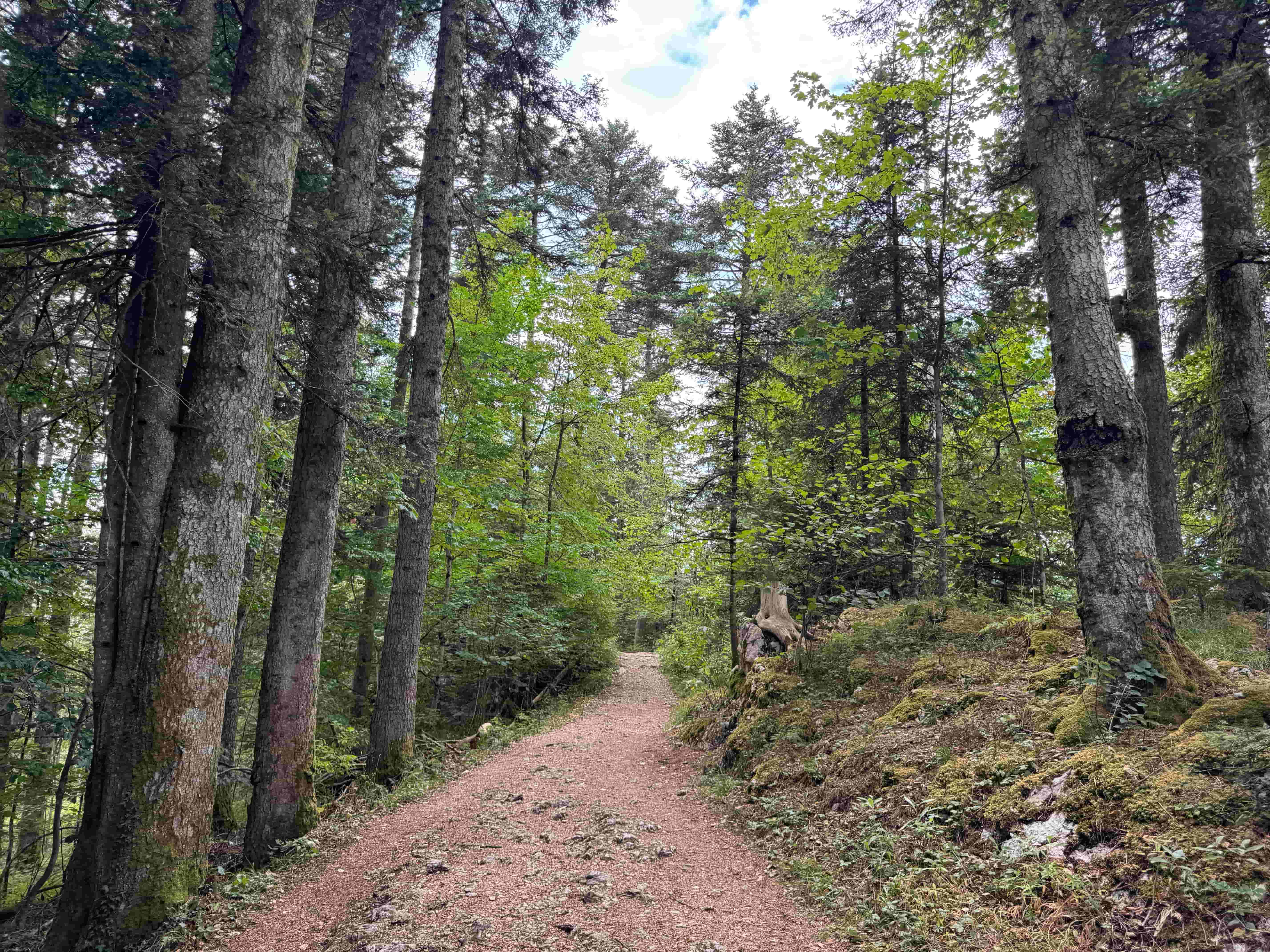 Vue aerienne des montagnes