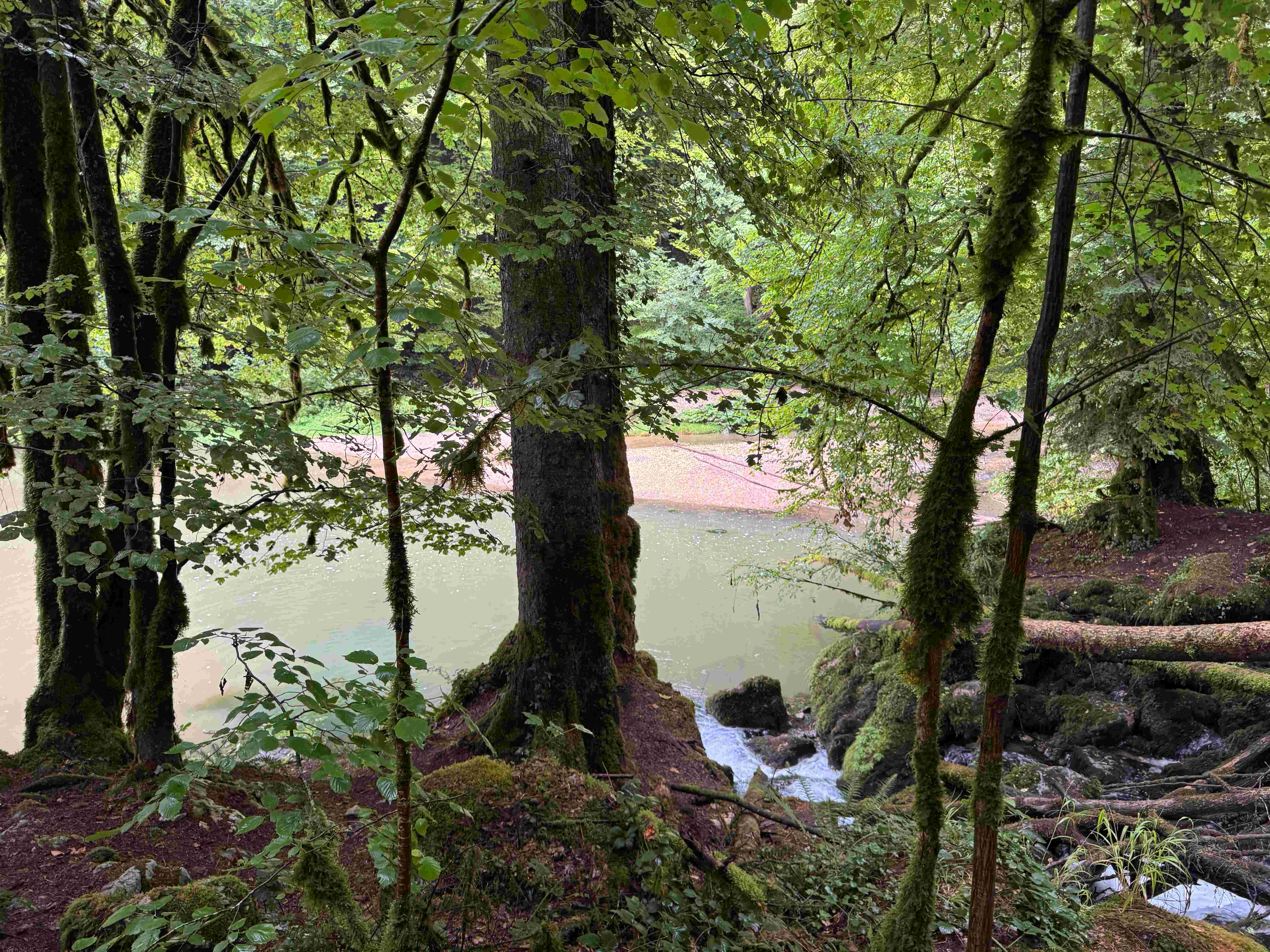 Vue aerienne des montagnes