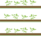 Built for Commercial Production