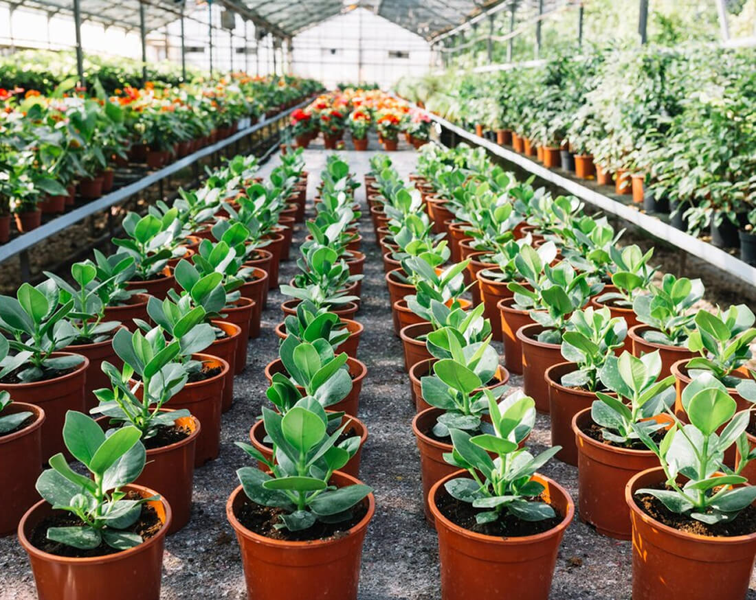 Custom propagation programs