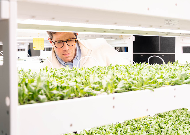 Programmes de propagation personnalisés