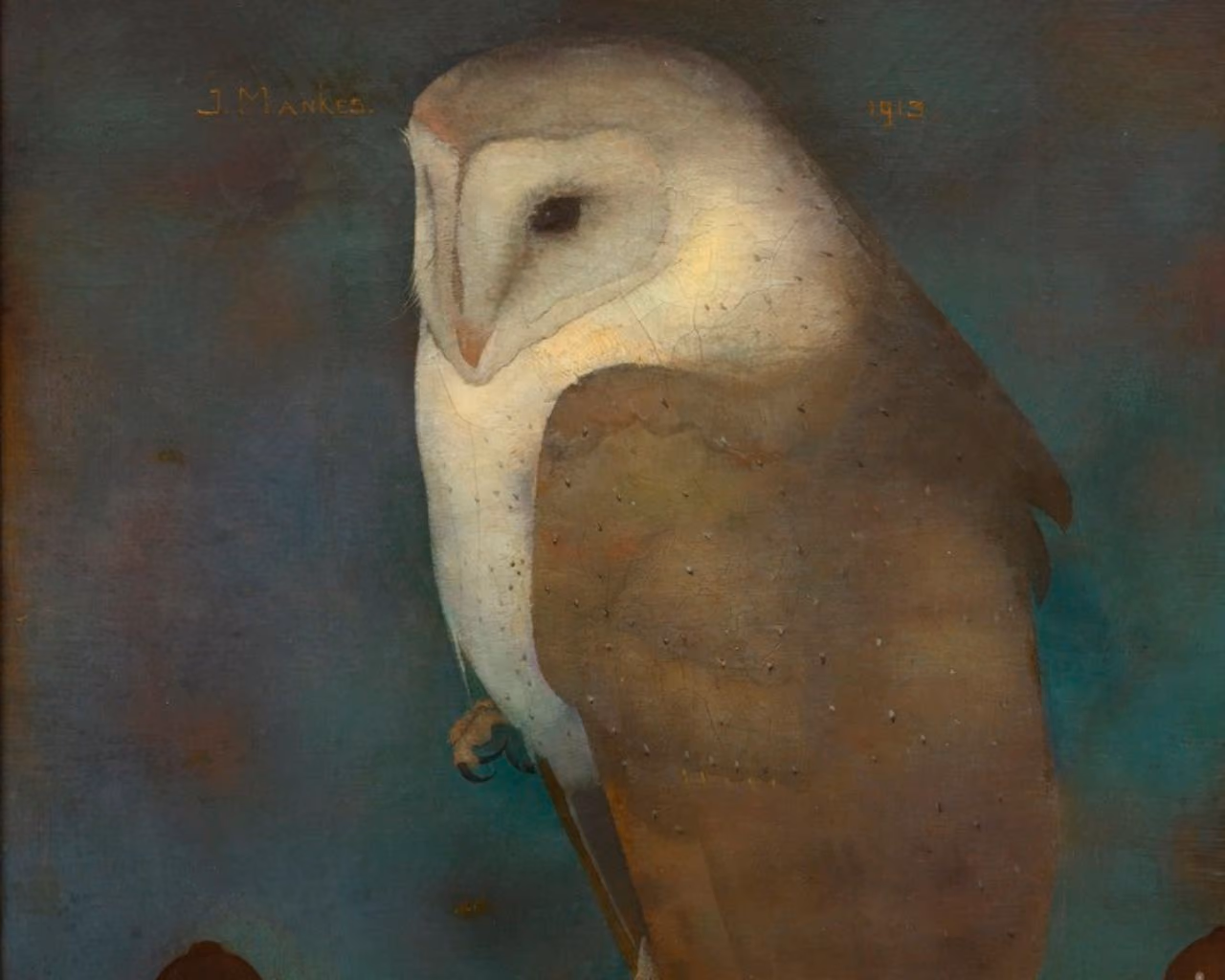 Painting of a barn owl with a white face and brown wings against a dark background.