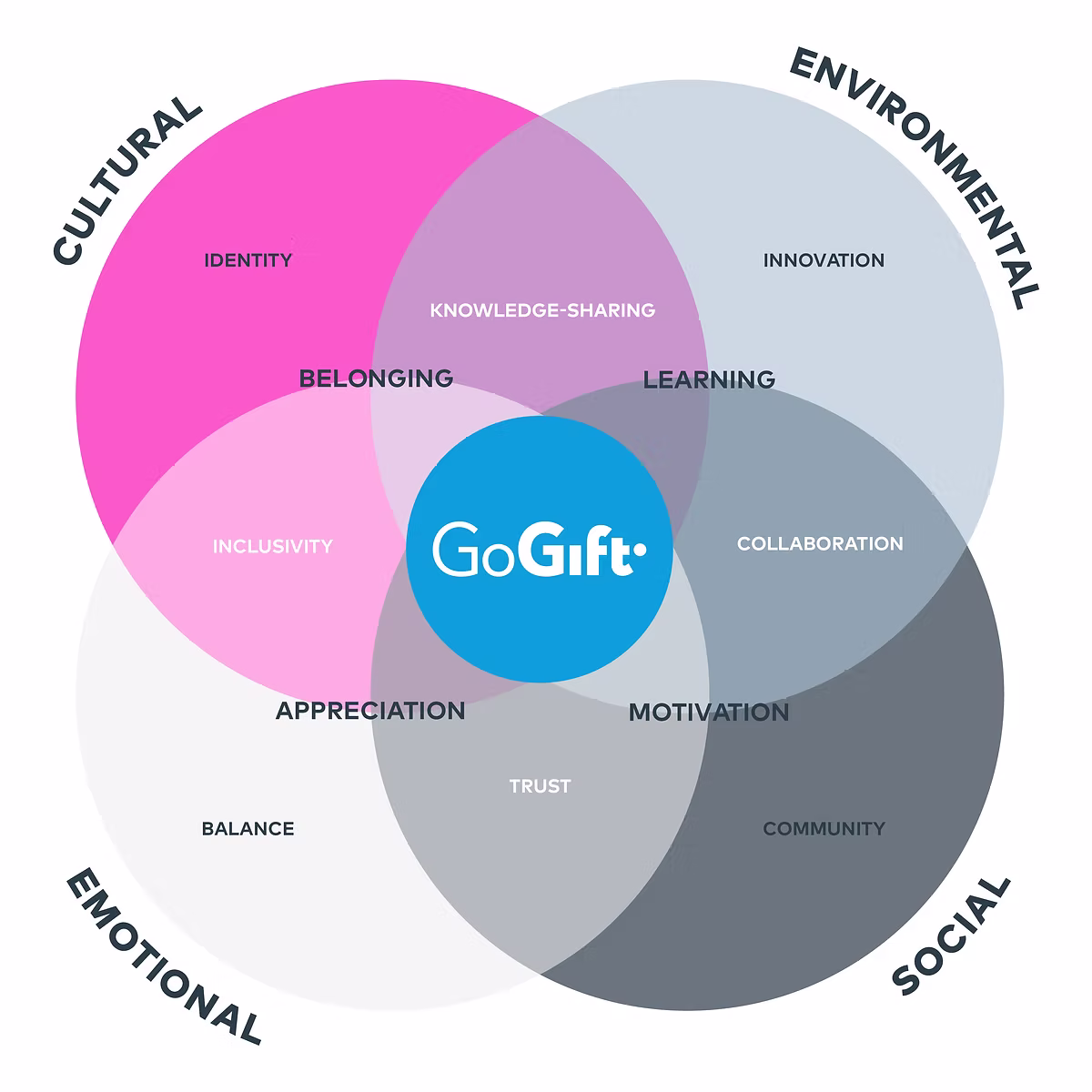 Diagram showing GoGift's core values across cultural, environmental, emotional, and social dimensions