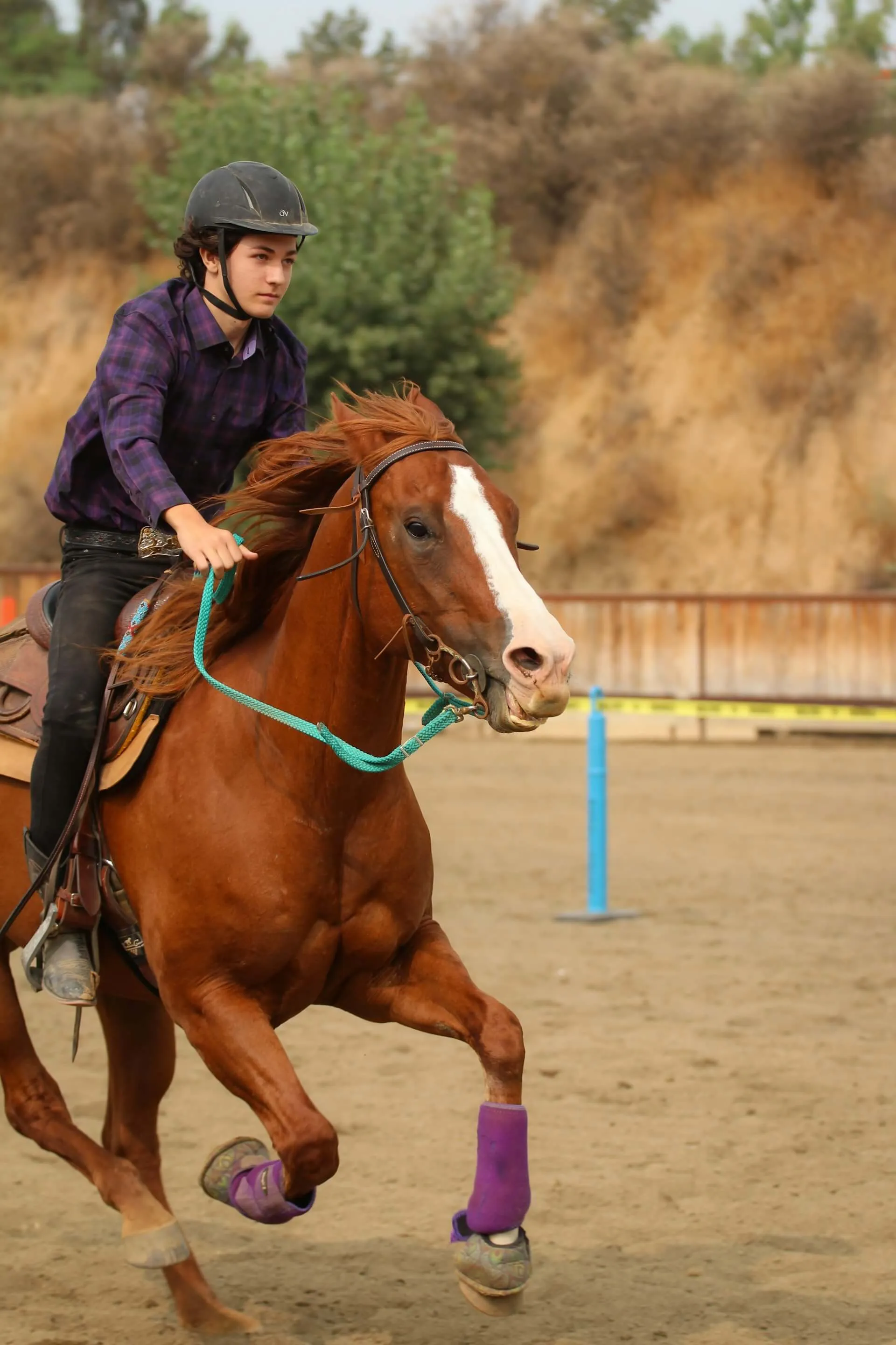 horse running through a grassy field