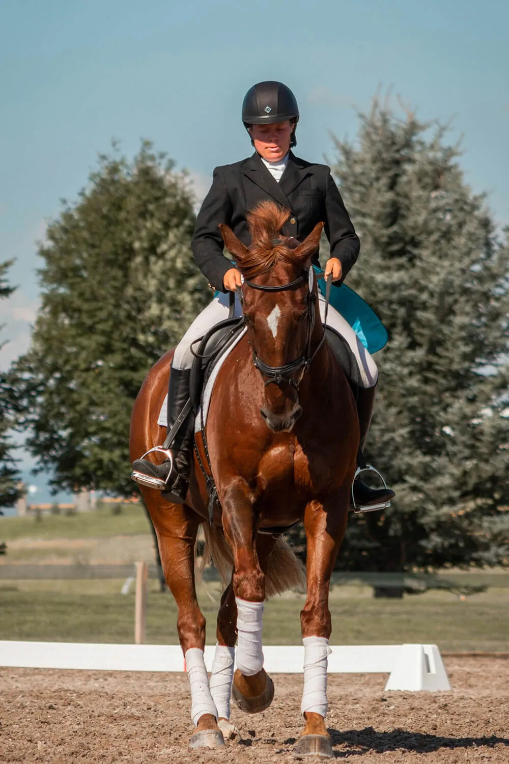 Dressage Masterclass