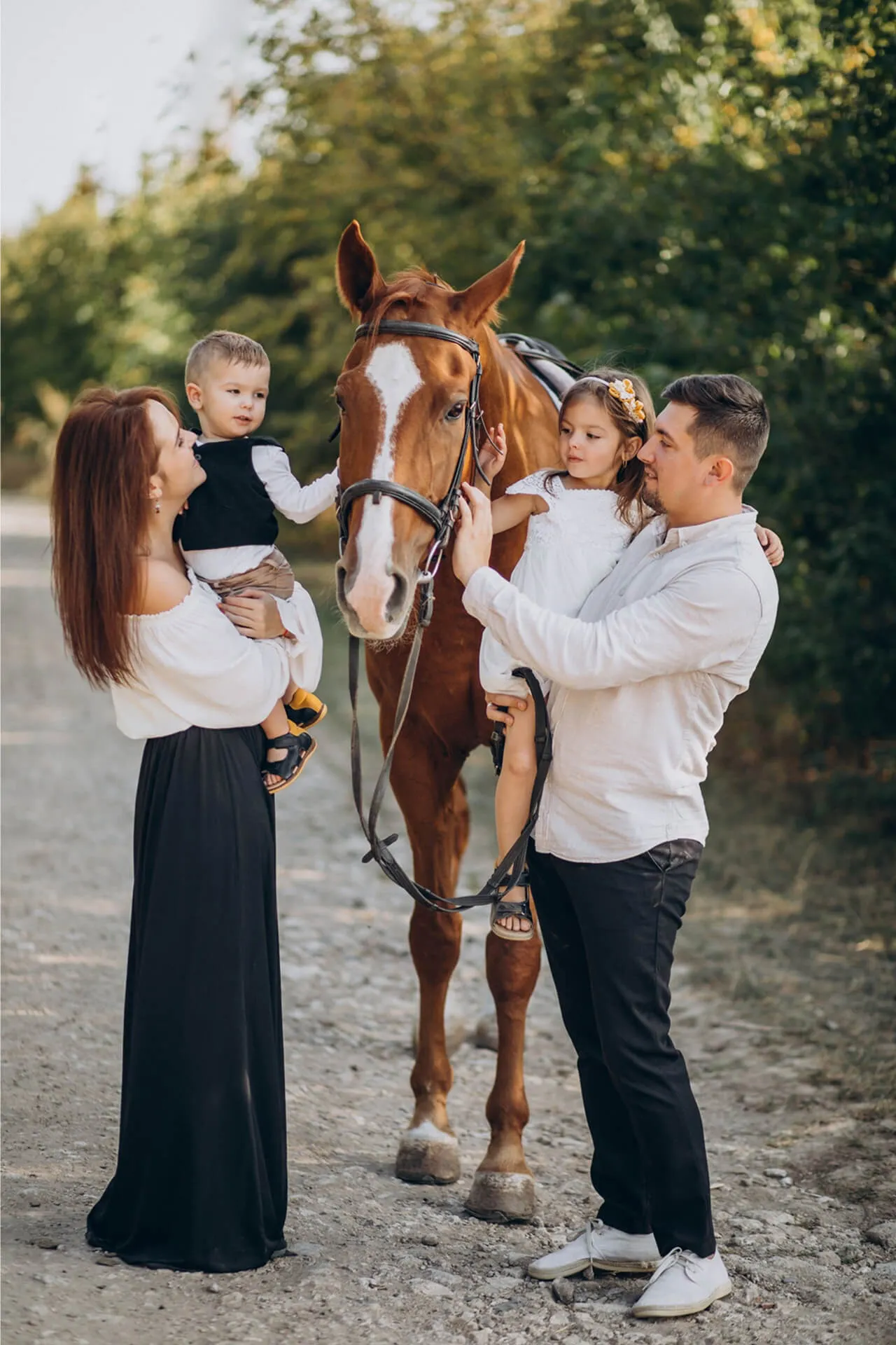 Photo-Ready Horses for Special Occasions