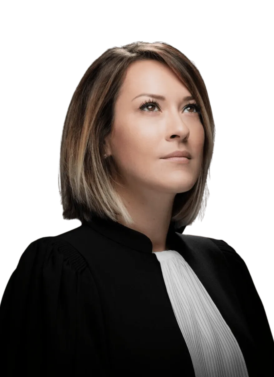 Litiges et contentieux équins
