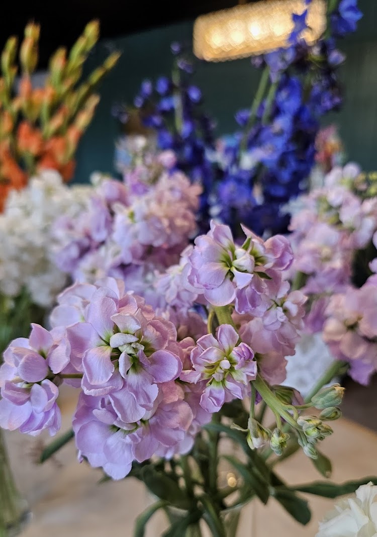 Fresh spring tulips in pastel colors