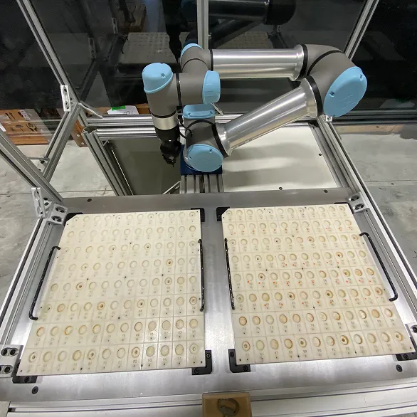 Top view of collaborative robot arm positioned above two white trays with numbered circular pockets inside a clear panel enclosure.