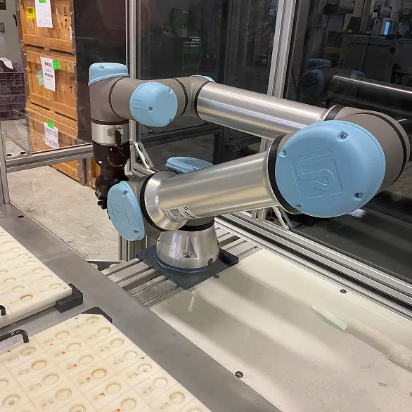 Close view of collaborative robot arm with blue joint covers mounted inside an aluminum framed enclosure next to white trays with circular recesses.