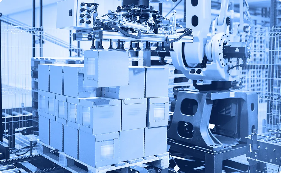 Automated packaging machine stacking boxed products onto pallets inside a manufacturing or distribution facility.