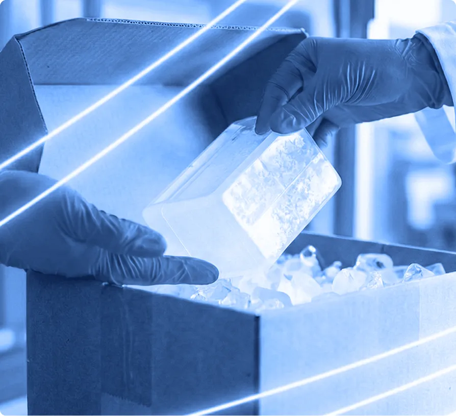 A worker wearing blue gloves places an insulated container into an open cardboard box filled with ice packs inside a temperature-controlled facility.