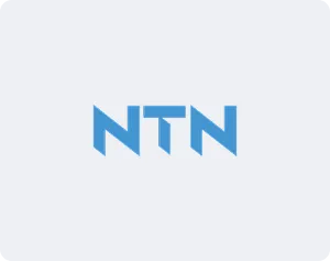 ntn logo