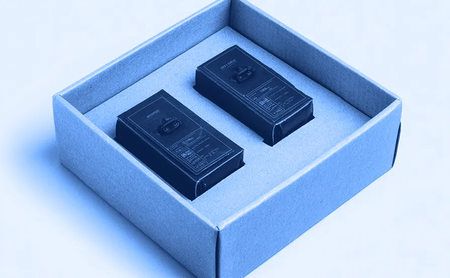 Open brown cardboard tray containing two black rectangular devices placed side by side against a plain white background.