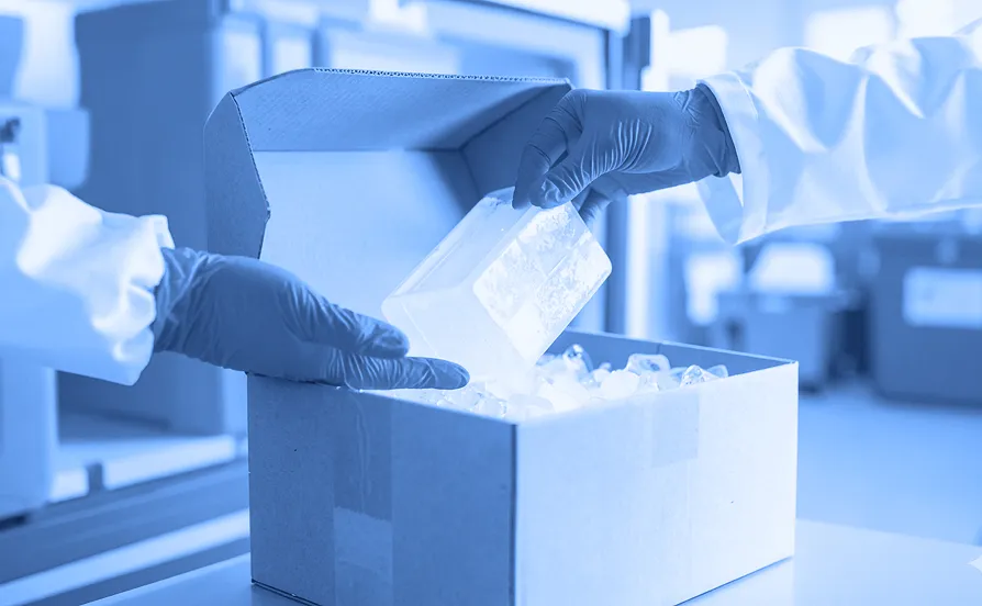 A worker wearing blue gloves places an insulated container into an open cardboard box filled with ice packs inside a temperature-controlled facility.