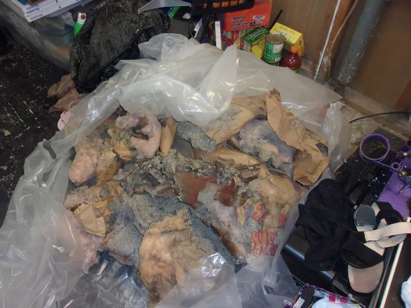 Pile of moldy fiberglass insulation removed and placed on clear plastic sheet in a cluttered basement area.