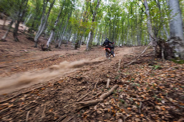 Enduro rider navigating a technical and scenic forest trail during a full expedition in the Bulgarian wilderness.