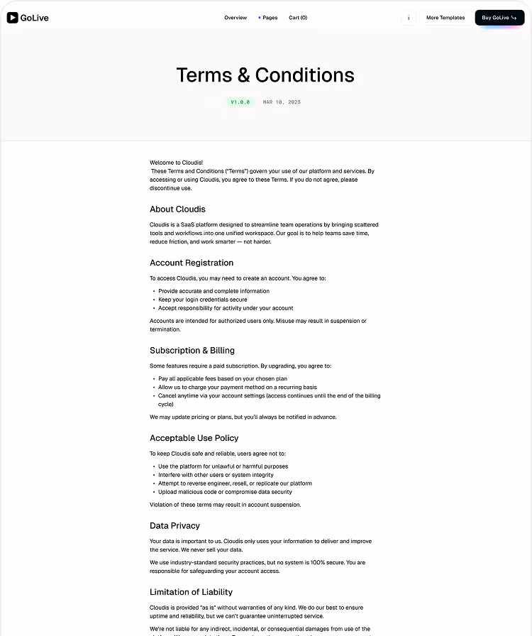 SaaS Startup Webflow Template