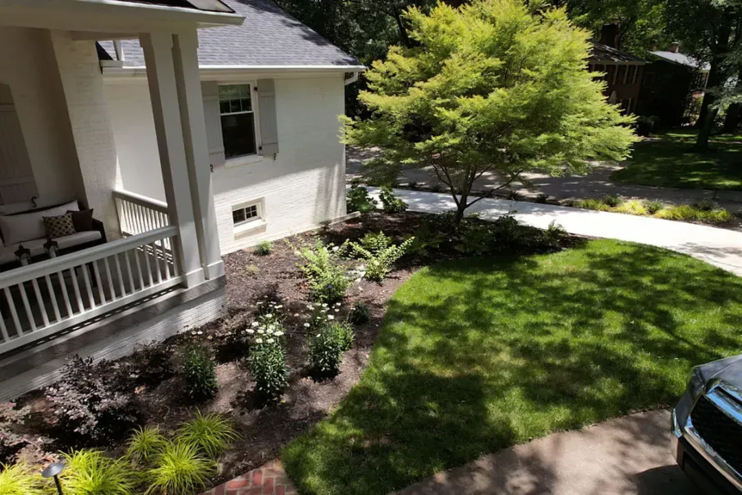 Beautiful front yard landscape featuring native South Carolina plants and a well-maintained lawn, with a white house and porch, highlighting the benefits of native plants in luxury landscape design.