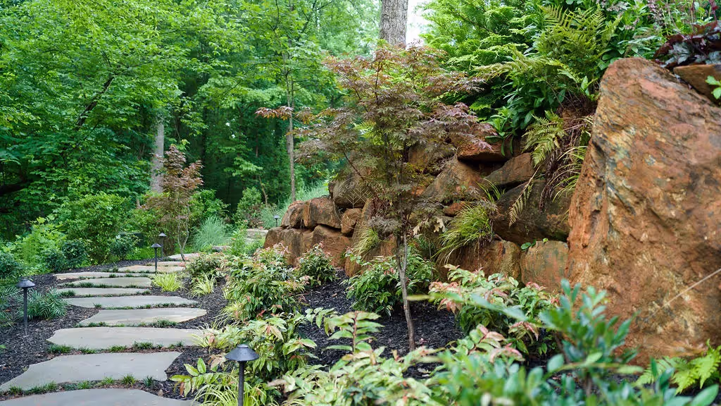 Lush South Carolina backyard with outdoor lights, pavers and boulders.