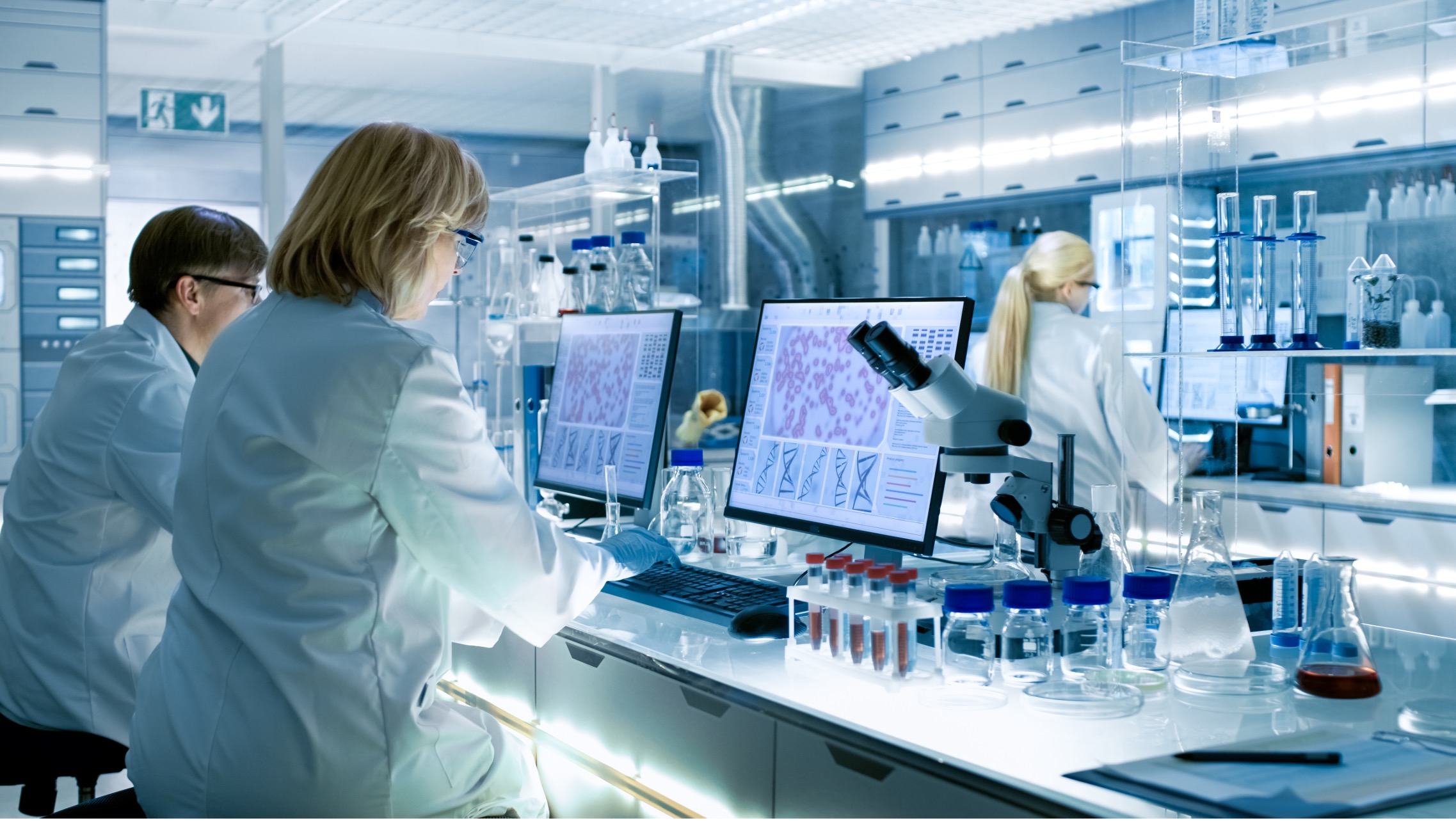 two scientists in laboratory