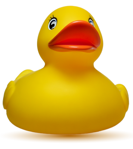 The Great Hitchin Duck Race