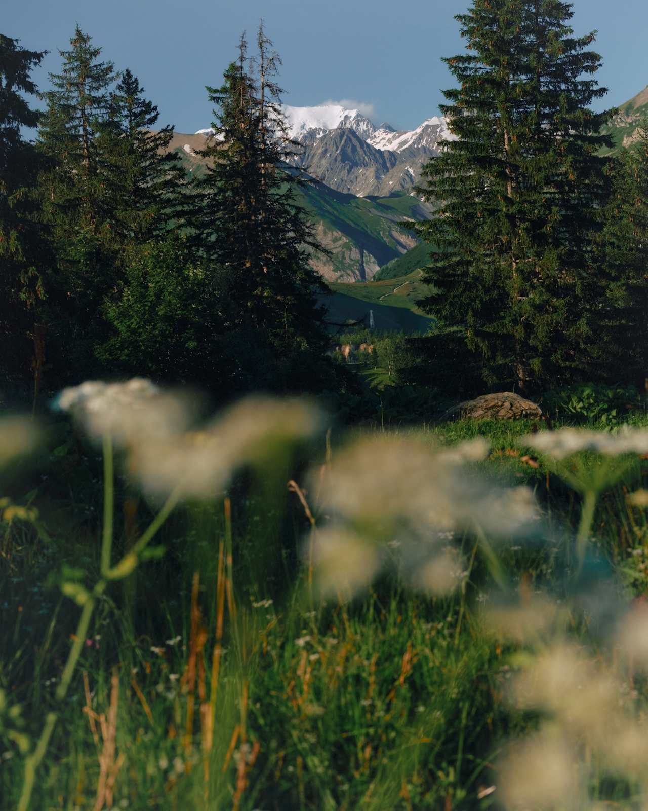 Alpine landscape