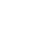 fis