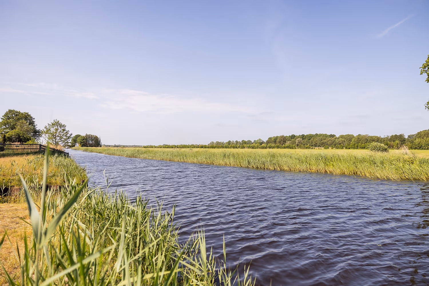 Rivier met riet langs de oever en bomen in de verte onder een blauwe lucht bij Goudpoel in Oudega.