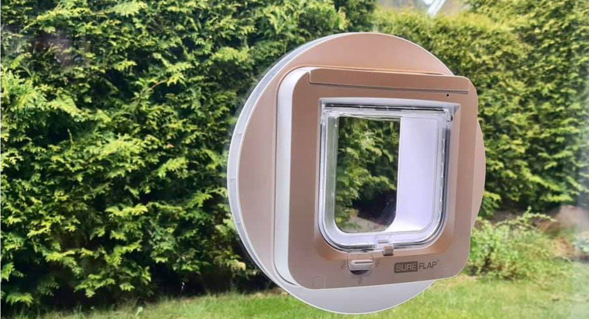 Glassvegg tilpasset på mål