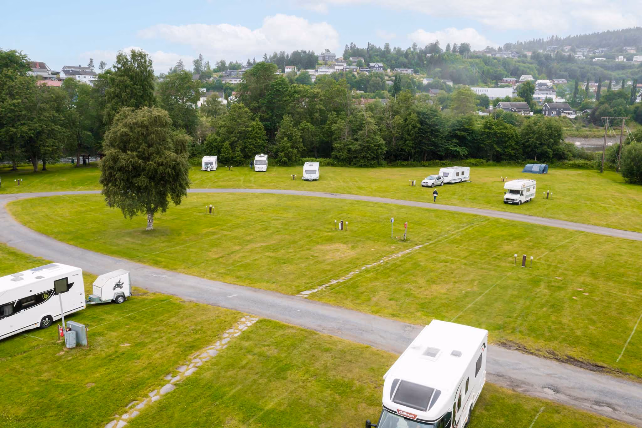 Luftfoto av en campingplass med bobiler parket på gress og et tre i midten.
