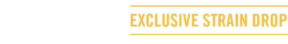 The Cut — Exclusive Strain Drop